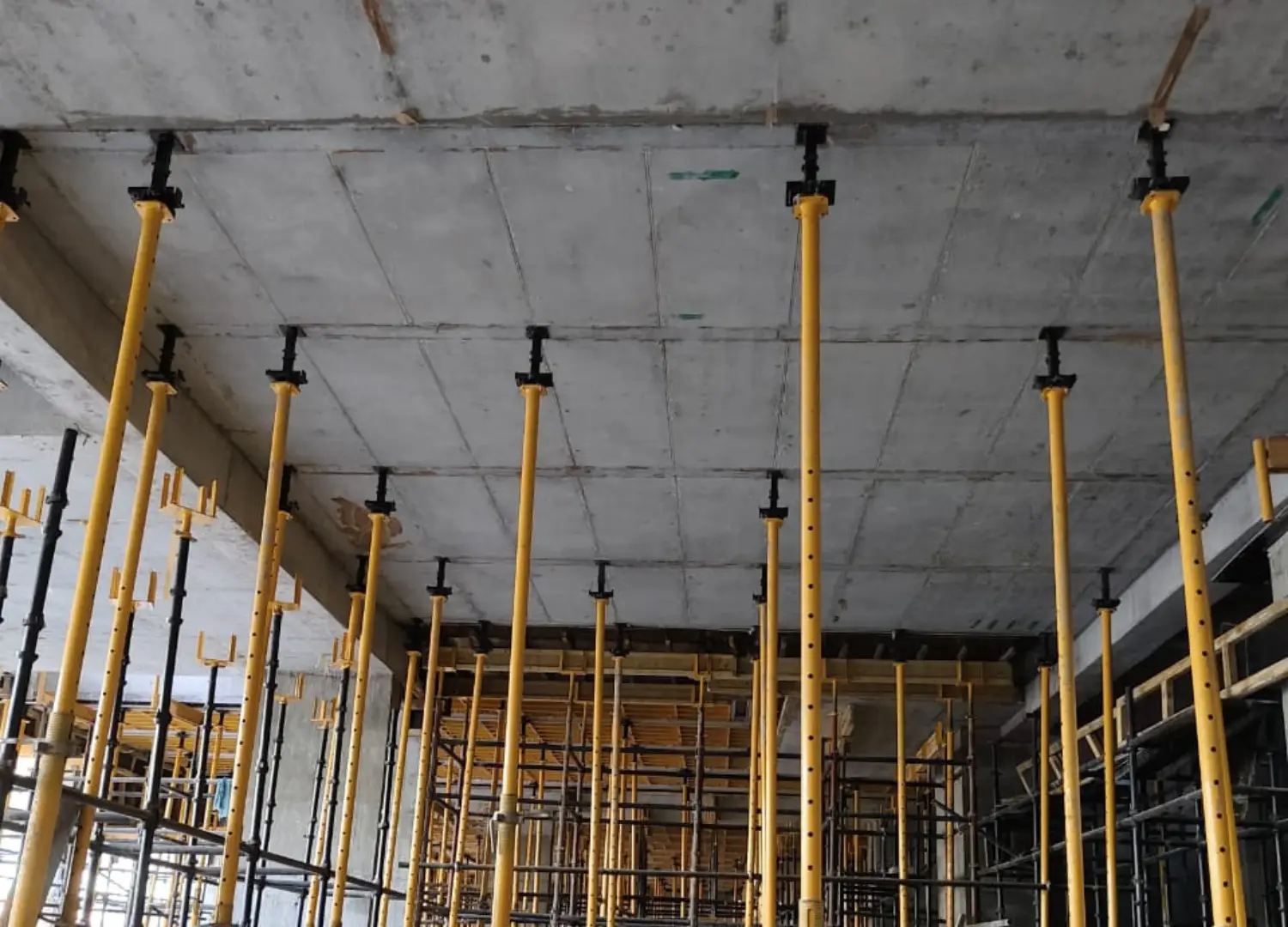 Alembic Banyan Paradise